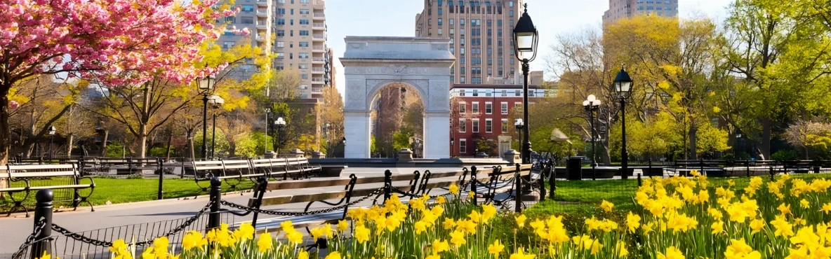 Explore NYC with Ease: Top Hotels Near NYU Within a Short Walk