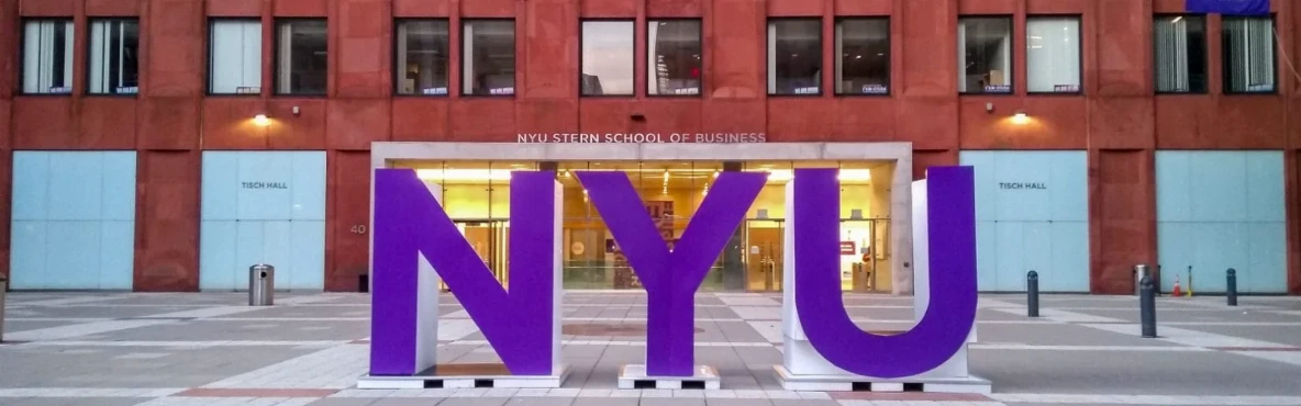Pet-Friendly Hotels Near NYU for Traveling with Your Furry Friend 