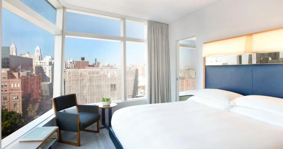 Pet-Friendly Hotels Near NYU for Traveling with Your Furry Friend