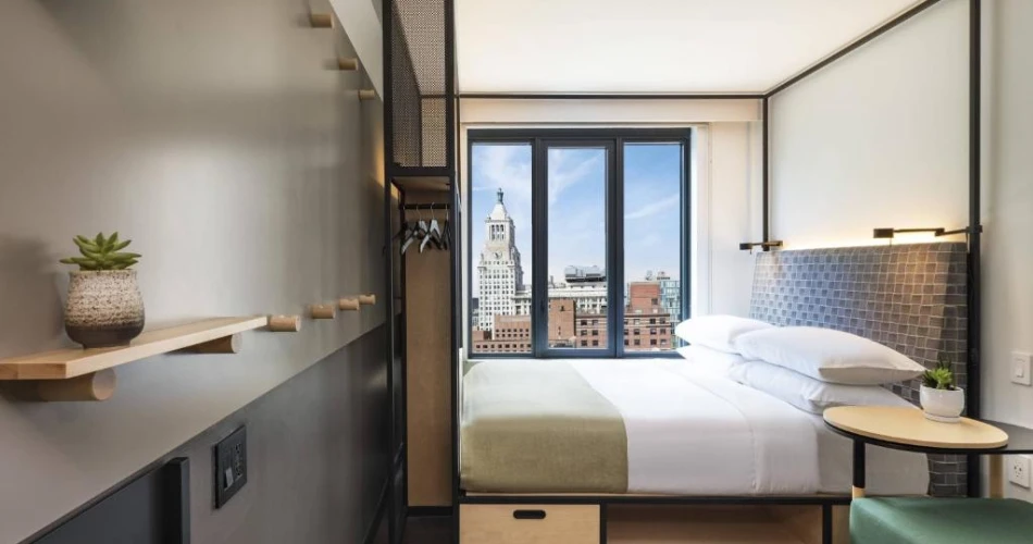 Pet-Friendly Hotels Near NYU for Traveling with Your Furry Friend