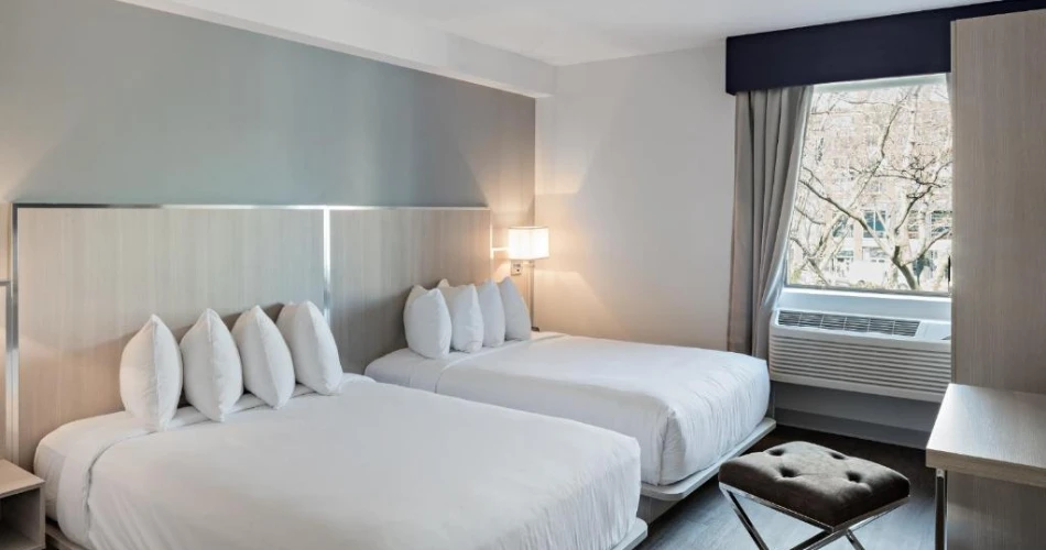 Pet-Friendly Hotels Near NYU for Traveling with Your Furry Friend
