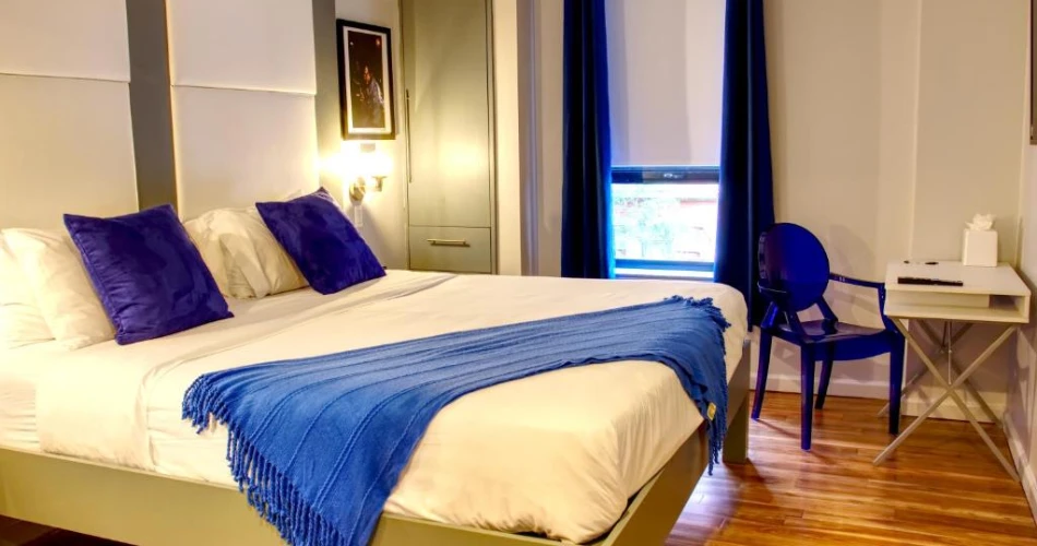 Pet-Friendly Hotels Near NYU for Traveling with Your Furry Friend