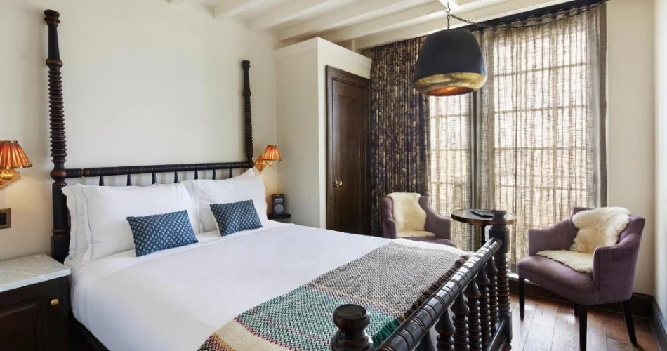 Pet-Friendly Hotels Near NYU for Traveling with Your Furry Friend